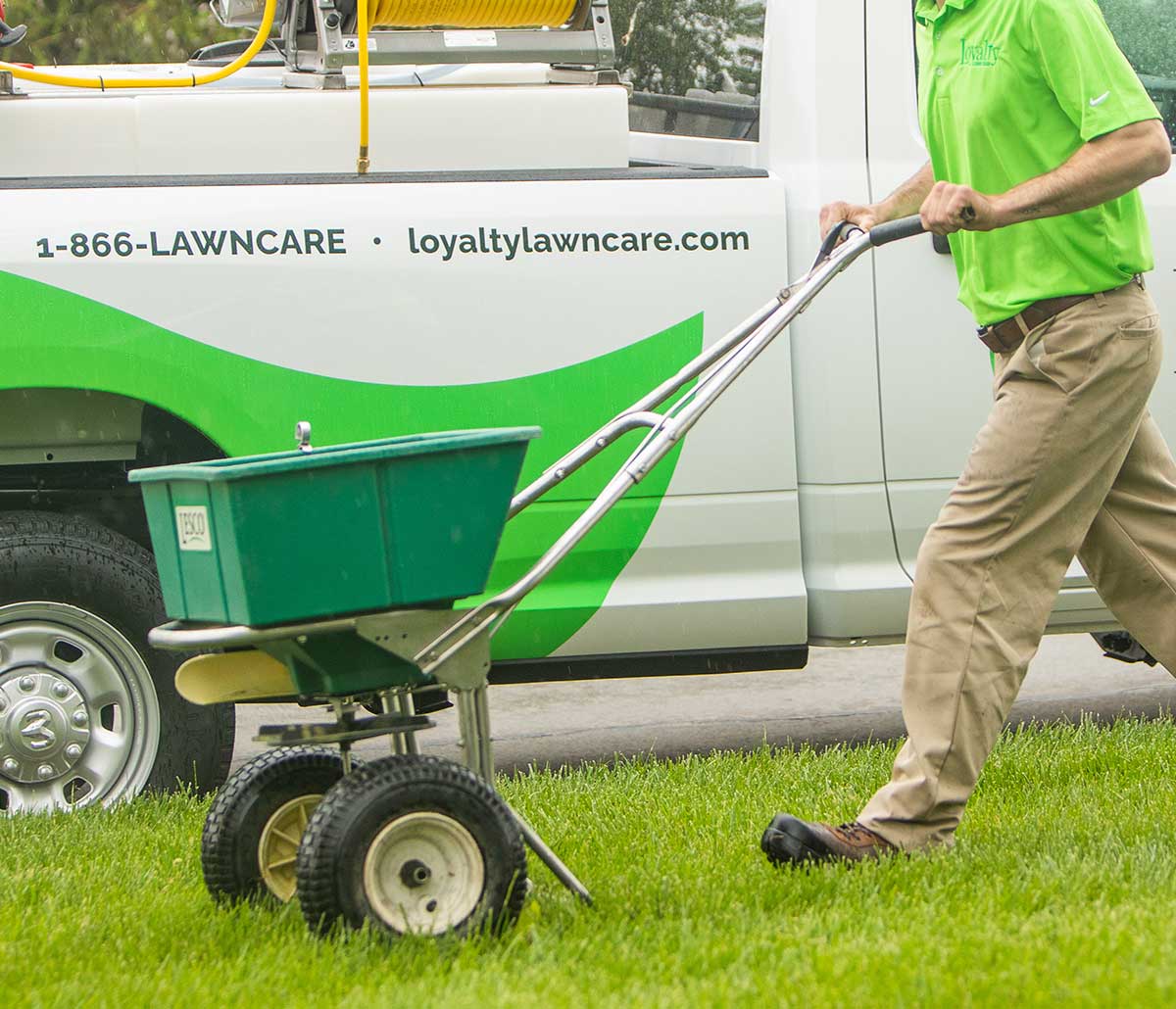 Man pushing a seed wheelbarrow over a grassy lawn.