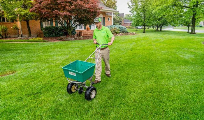 Sonoma County Lawn Care Companies